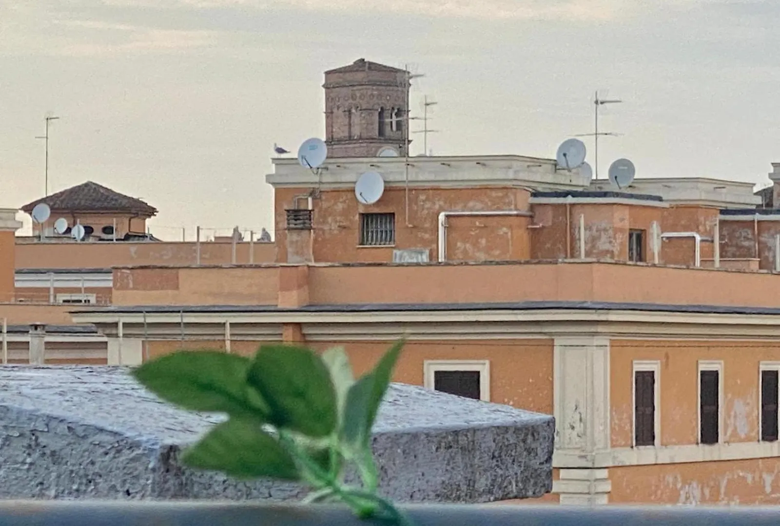 Apartment Ave Roma Suite