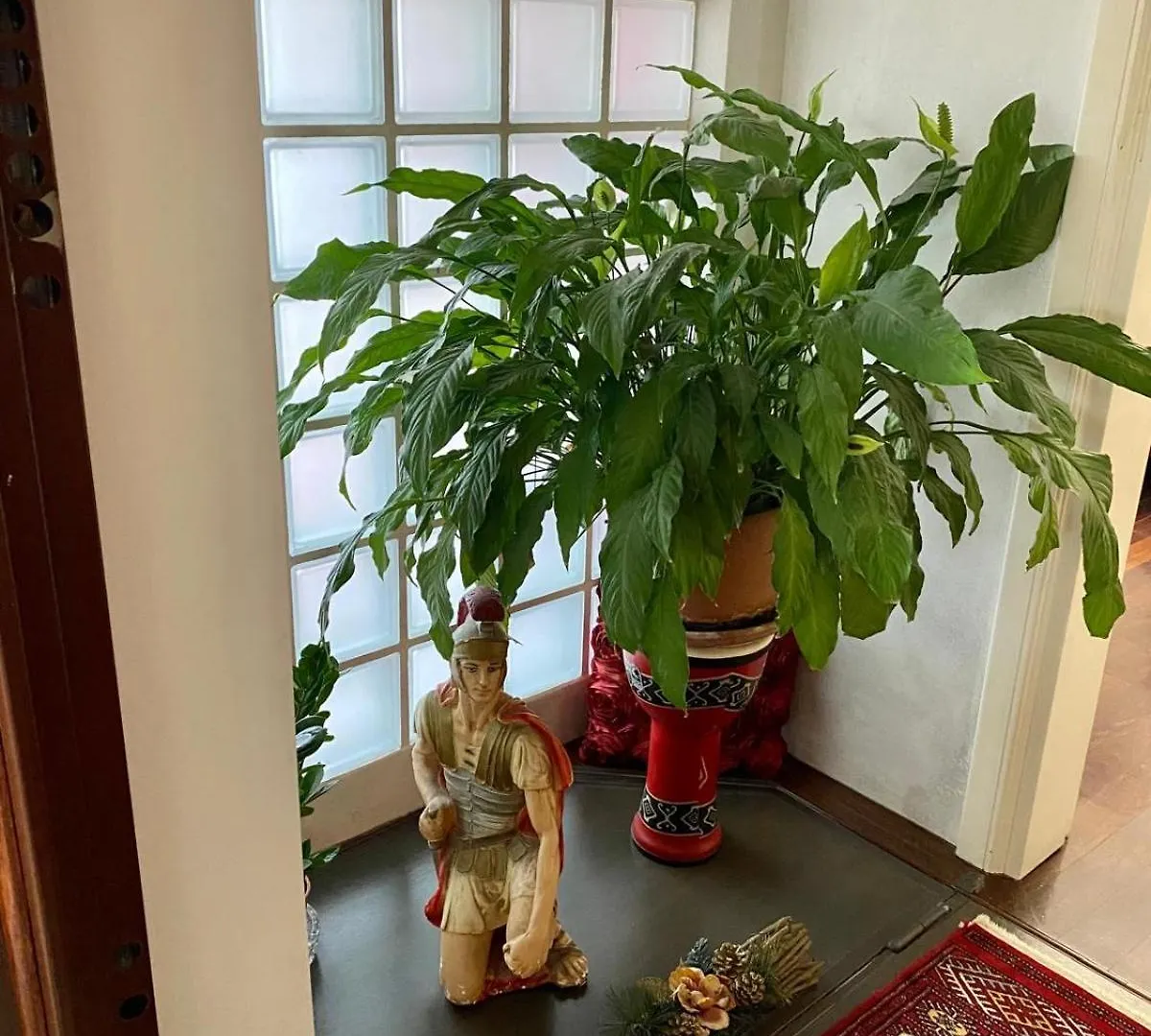 Ave Roma Suite Apartment